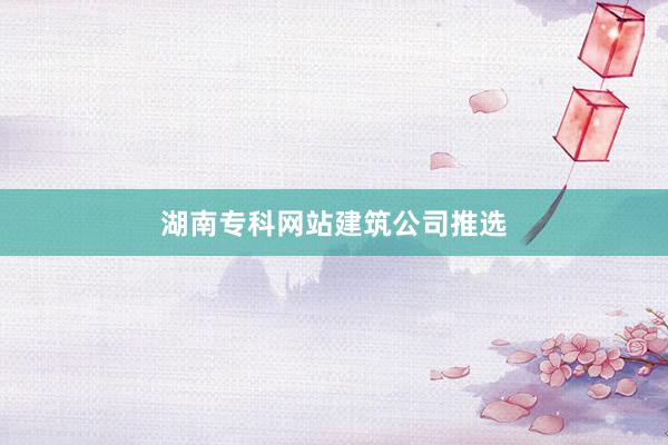 湖南专科网站建筑公司推选