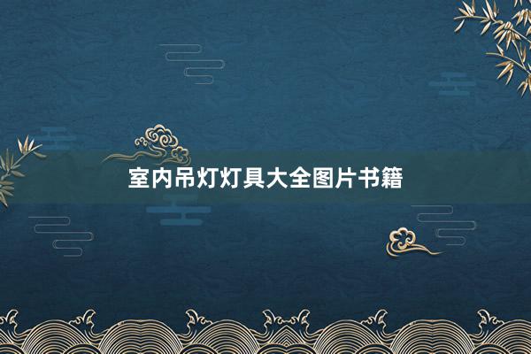 室内吊灯灯具大全图片书籍