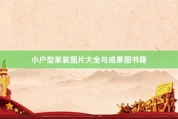 小户型家装图片大全与成果图书籍